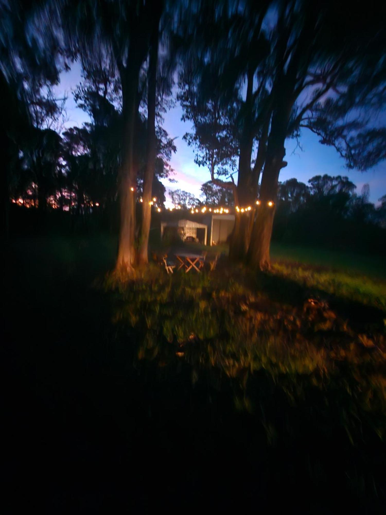 מונטוויל Country Cottage Sunshine Coast מראה חיצוני תמונה